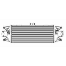 Kjøp Intercooler av DIEDERICHS DCA1029 til den lave prisen 2247,11 NOK