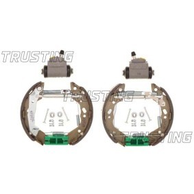 Bremsscheibe DF176 von TRUSTING günstig für 82,10 € online kaufen