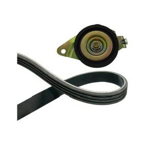 Osta KAVO PARTS Kiilahihna netistä CIVIC V Sedan (EG, EH)-mallille edulliseen hintaan