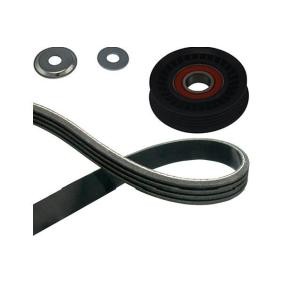 Osta KAVO PARTS Kiilahihna netistä CIVIC V Sedan (EG, EH)-mallille edulliseen hintaan