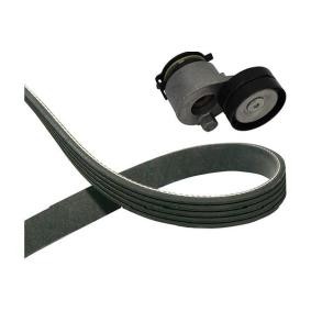 Keilriemensatz DKM-6511 von KAVO PARTS günstig für 61,40 € online kaufen