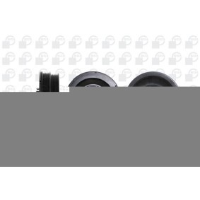 Achetez des Kit poulie damper BGA DP0366K à prix pour 109,33 €