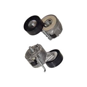 Spannrolle, Keilrippenriemen von KAVO PARTS
