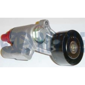 Umlenk- / Führungsrolle, Keilrippenriemen 55074 von RUVILLE günstig für 21,84 € online kaufen