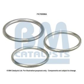 Compre Kit de montagem, tubo de escape da BM CATALYSTS FK70098 a um preço baixo por 6,02 €