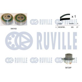 Wasserpumpe 65298 von RUVILLE günstig für 29,99 € online kaufen