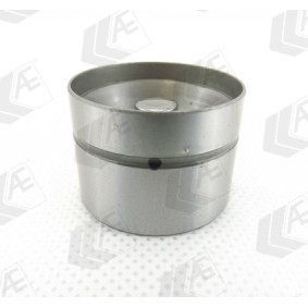 Hydrostößel für RENAULT von AE
