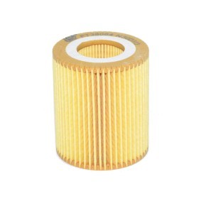 Ölfilter von FAST FT38064
