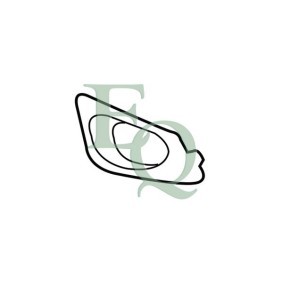 Acquista Griglia paraurti da EQUAL QUALITY online per SPRINTER CLASSIC 3,5-t Furgonato (909) a prezzi moderati