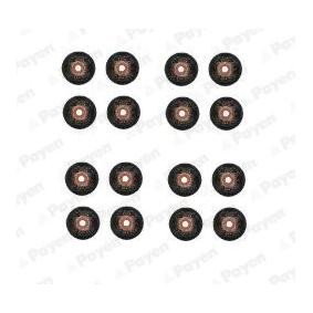 Compre Retenes de válvulas de PAYEN online para Focus Mk4 Sedán (HM) a precios moderados