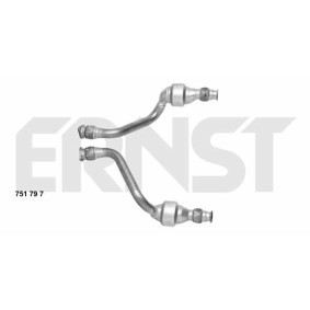 Acquista Catalizzatore da ERNST 751797 a buon mercato per soli 458,42 €
