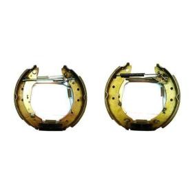 Bremsensatz, Trommelbremse 0 204 114 553 von BOSCH günstig für 109,61 € online kaufen