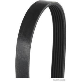 Keilrippenriemen J1061495 von HERTH+BUSS JAKOPARTS günstig für 11,38 € online kaufen