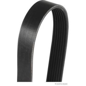 Keilrippenriemen J1071165 von HERTH+BUSS JAKOPARTS günstig für 10,49 € online kaufen