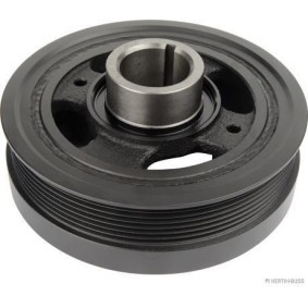 Achetez des Poulie damper de chez HERTH+BUSS JAKOPARTS en ligne pour HIACE IV Camionnette (TRH2_, KDH2_) à prix modérés