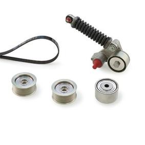 Acquista Kit Cinghie Poly-V da GATES K057PK1988 a buon mercato per soli 314,07 €