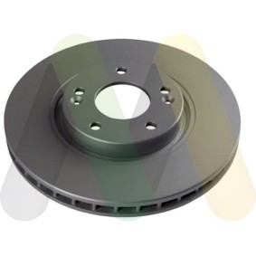 Comprar Disco de freno de MOTAQUIP LVBD1529 a bajo precio de 98,48 €