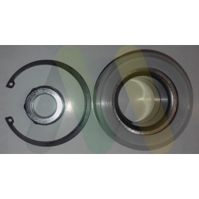 Compre Kit de rolamento de roda da MOTAQUIP LVBW1300 a um preço baixo por 55,49 €