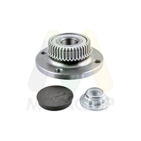 Radnabe des Herstellers MOTAQUIP - Originalware Artikelnummer: LVBW46