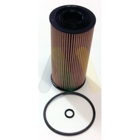 Köp Oljefilter av MOTAQUIP LVFL774 till det låga priset 190,79 kr
