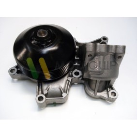 Wasserpumpe des Herstellers MOTAQUIP - Originalware Artikelnummer: LVWP996
