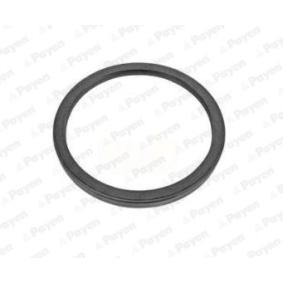 Achetez des Bague d'étanchéité, vilebrequin PAYEN NA5463 à prix pour 32,16 €