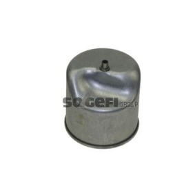 Comprar Filtro combustible de FRAM P11194 a bajo precio de 37,73 €