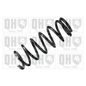 Acquista Molle ammortizzatori da QUINTON HAZELL QCS5001 a buon mercato per soli 83,32 €