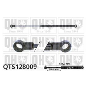 Compre Maletero de QUINTON HAZELL online para FIESTA I (GFBT) a precios moderados