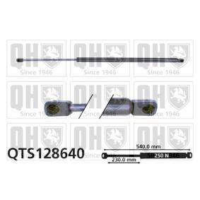 Acquista Ammortizzatore pneumatico cofano motore da QUINTON HAZELL QTS128640 a buon mercato per soli 23,49 €