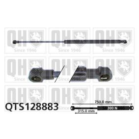 Motorhaubendämpfer QTS128883 von QUINTON HAZELL günstig für 29,40 € online kaufen