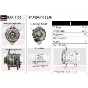 Lichtmaschine RAA11100 von DELCO REMY günstig für 168,10 € online kaufen
