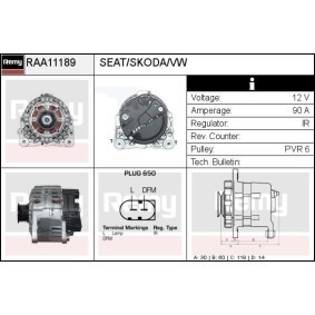 Lichtmaschine RAA11189 von DELCO REMY günstig für 153,61 € online kaufen
