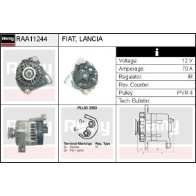 Lichtmaschine RAA11244 von DELCO REMY günstig für 127,04 € online kaufen
