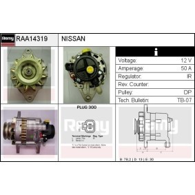 Lichtmaschine RAA14319 von DELCO REMY günstig für 134,60 € online kaufen