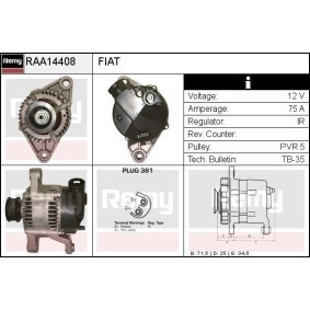 Lichtmaschine RAA14408 von DELCO REMY günstig für 129,65 € online kaufen