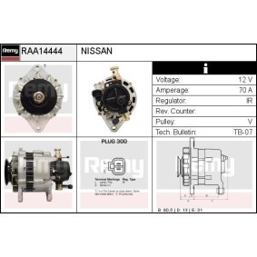 Lichtmaschine RAA14444 von DELCO REMY günstig für 143,08 € online kaufen