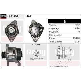 Lichtmaschine RAA14517 von DELCO REMY günstig für 129,65 € online kaufen