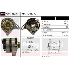 Lichtmaschine RAA14529 von DELCO REMY günstig für 117,58 € online kaufen