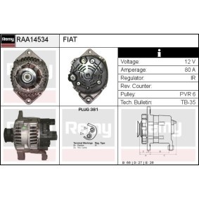 Lichtmaschine RAA14534 von DELCO REMY günstig für 154,55 € online kaufen