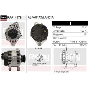 Lichtmaschine RAA14879 von DELCO REMY günstig für 161,93 € online kaufen