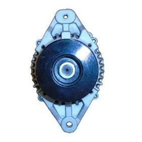 Lichtmaschine RAA15106 von DELCO REMY günstig für 144,39 € online kaufen