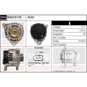 Lichtmaschine RAA15179 von DELCO REMY günstig für 147,12 € online kaufen