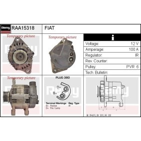 Lichtmaschine RAA15318 von DELCO REMY günstig für 155,03 € online kaufen
