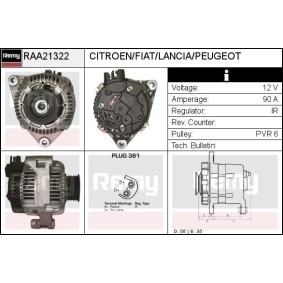 Lichtmaschine RAA21322 von DELCO REMY günstig für 152,44 € online kaufen
