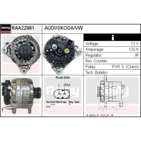 Lichtmaschine RAA22981 von DELCO REMY günstig für 165,67 € online kaufen