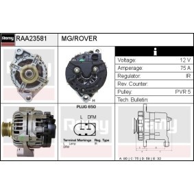 Lichtmaschine RAA23581 von DELCO REMY günstig für 148,41 € online kaufen