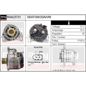 Lichtmaschine RAA23731 von DELCO REMY günstig für 144,39 € online kaufen