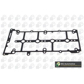 Ventildeckeldichtung von BGA