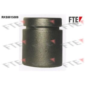 Kolben, Bremssattel RKS8615009 von FTE günstig für 23,11 € online kaufen